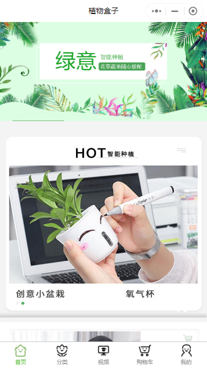 植物盒子